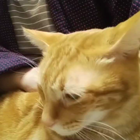 隙間風ピーピーの画像