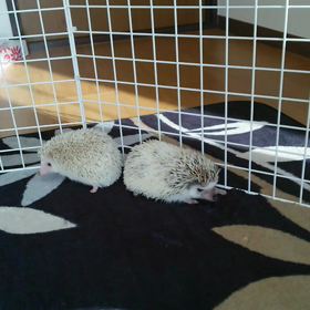 ♯対象形♯の画像