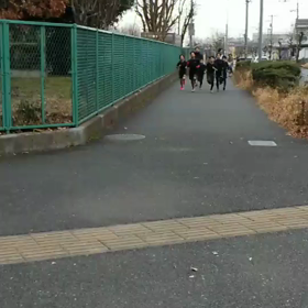 男子ロード練習②の画像