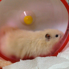 初日から…の画像