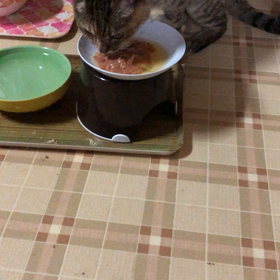 にゃっちゃん、自力で食べるの画像