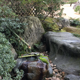 いつも美しいの画像