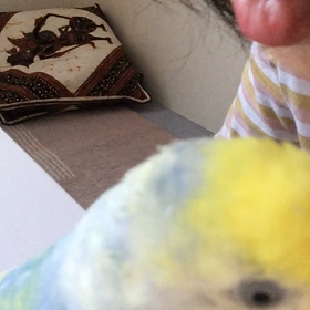 唇  ♡ラブ♡の画像