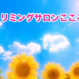 スライドショーの画像