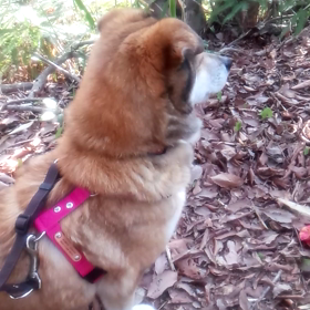 本当は、こんな表情できるんですの画像