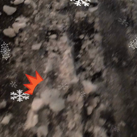 大人だけどの画像