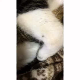 幸せと悲しい思い出の画像