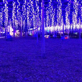 ライトアップの画像