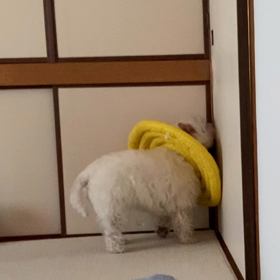 自動扉バージョンアップ！の画像