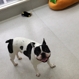 ♪プレイルーム動画♪の画像