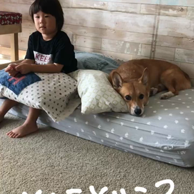 どこどこ？な男の画像