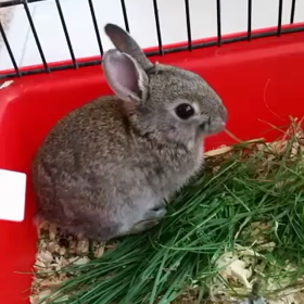 More Jumperの画像