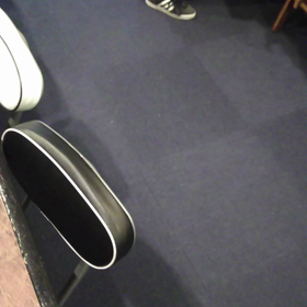 松戸からフェレット達にあいに来てくださいましたの画像