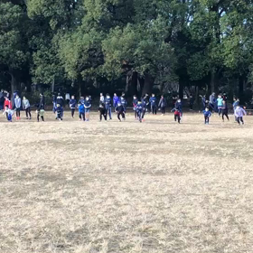 学年別インターバル後半①の画像