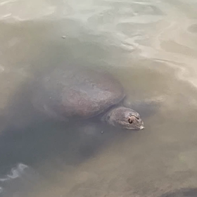 コミュニケーション？の画像