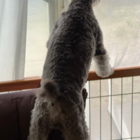 土曜日の朝はの画像