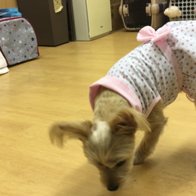 鼻でいくか。の画像