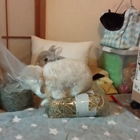 あんよがずりずり〜の画像