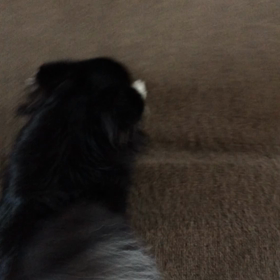 動く専務お待たせしました。の画像