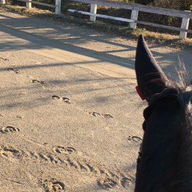 2021乗り納めの画像