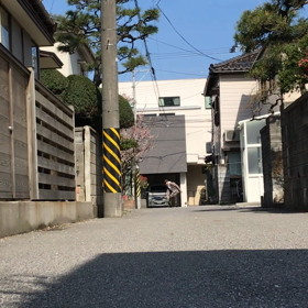 クルージングスケートの画像