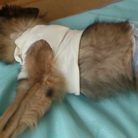 こんばんはの画像