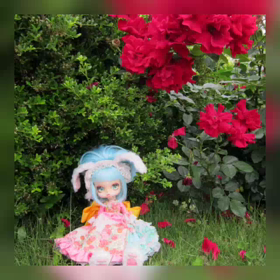 doll  うさぎの女の子と庭師  その2の画像