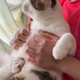 てんてんも抱っこしてε≡(*ﾉ`>ω<´)ﾉの画像