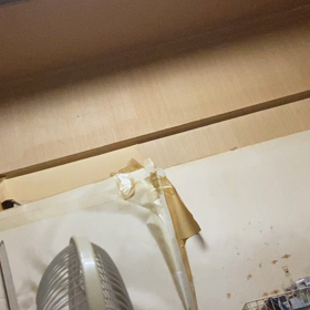 やたか？の画像