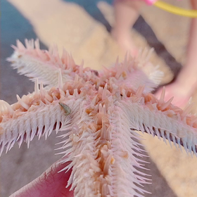 閲覧注意レベルの画像