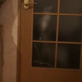 とうとう。。。の画像