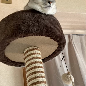 引っ越し完了の画像