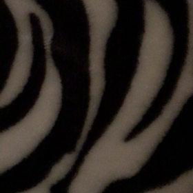 朝のうららの画像