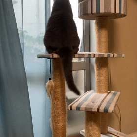 ご機嫌な　監視員の画像