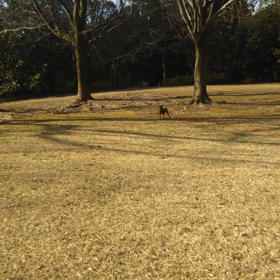 連休初日の画像