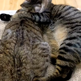 ママとワルサーズの画像