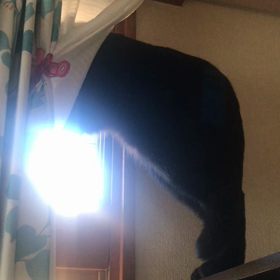 自宅警備の画像