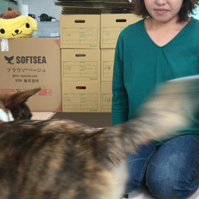 しつけ教室20回目の画像