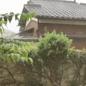 今年　初のゲリラ豪雨の画像
