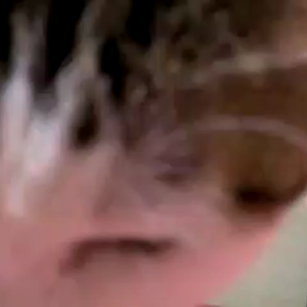 水をのむ！の画像