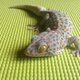 なぜ食べるの？(>_<)の画像