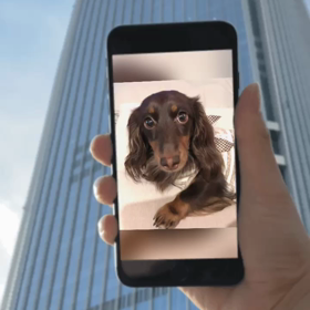 テトがビルのポスターに…♬♫✨の画像