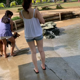 サニー　泳ぎの特訓の画像