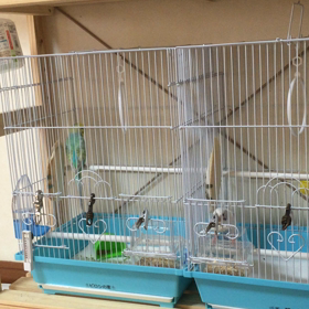 隠し撮りの画像