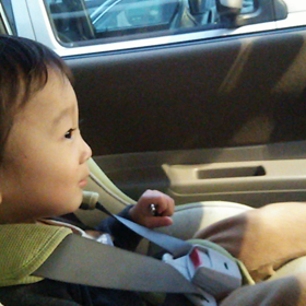 カネゴンの画像