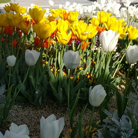 スピリチュアル勧誘が多いですねの画像