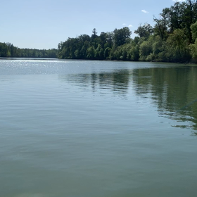 いきなりの画像