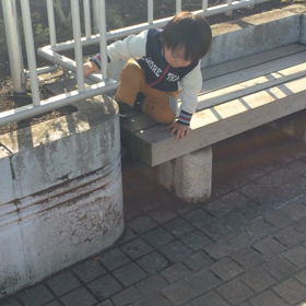 走るの速くなったな〜〜の画像