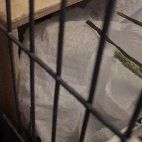 ティッシュ(^ ^)の画像