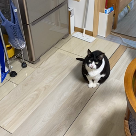 素直に　＃138の画像